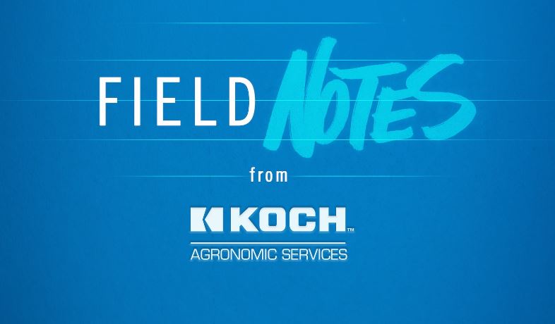 Koch Agronomic Services Develops Educational Agronomy Tools for Growers and Retailers