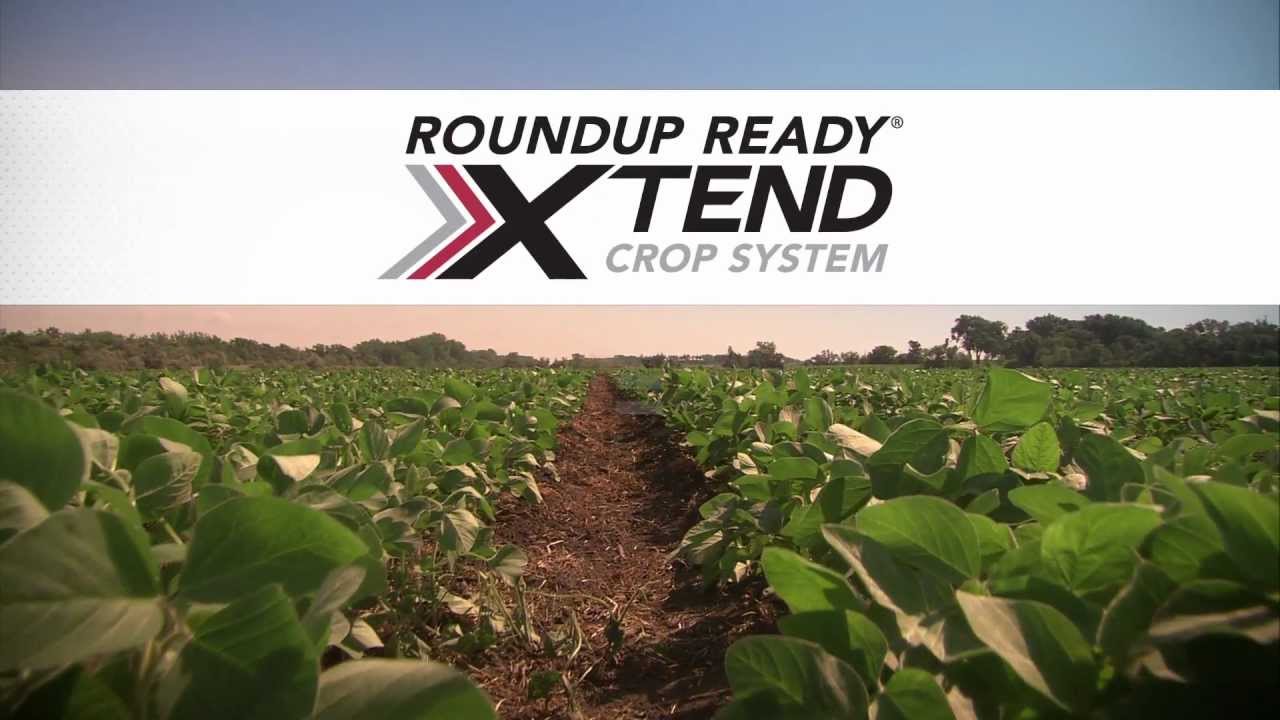 EU Grants Import Approval for Roundup Ready 2 Xtend Soybeans
