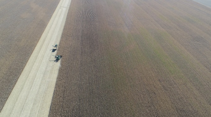 New Predictive Seed Placement Tech by Bayer's Climate Corporation Delivers Strong Results in 2018