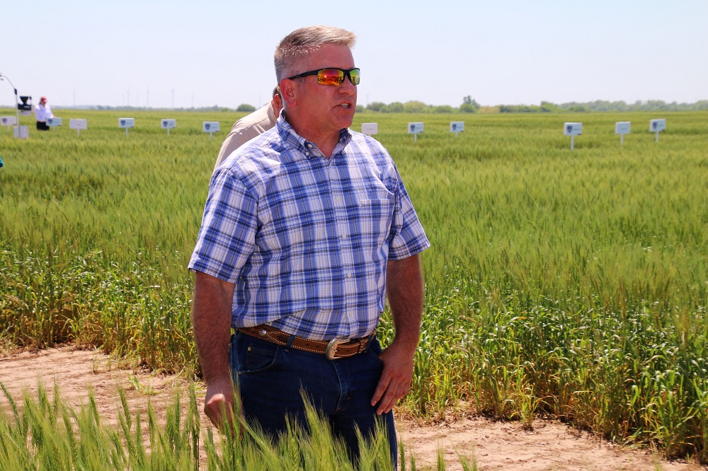 CoAXium Hits the Market - Farmers Introduced to First Wheat System Developed Since Clearfield