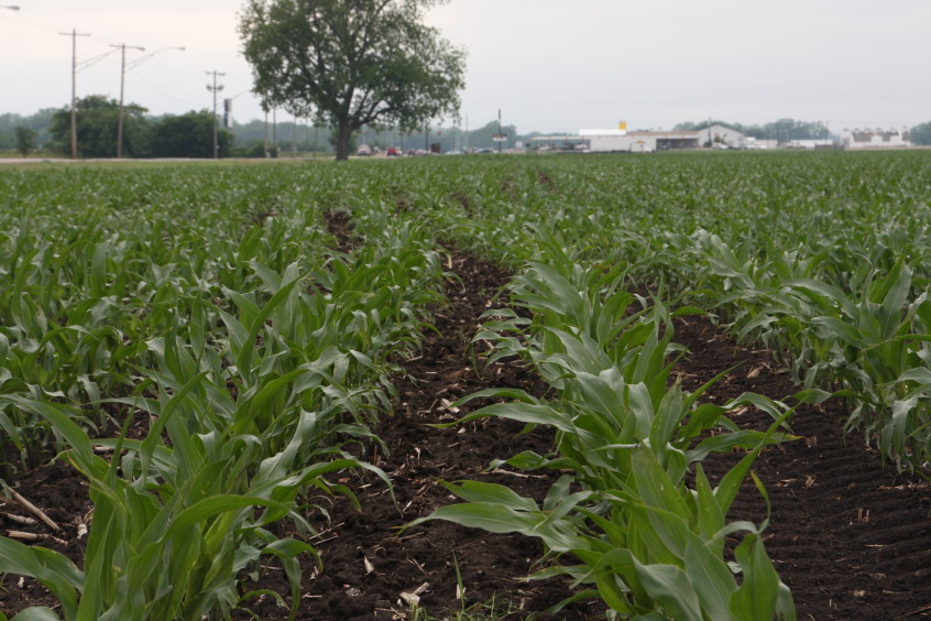 Monsanto Begins Campaign to Donate $2,500 to Rural Communities