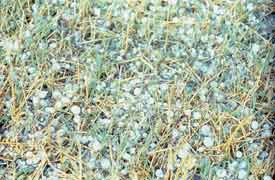 DuPont� Crop Protection Plus� Expands to Add More Key Crops in Three States 