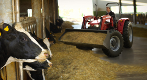 New Line of Utility Tractors Available from Massey Ferguson