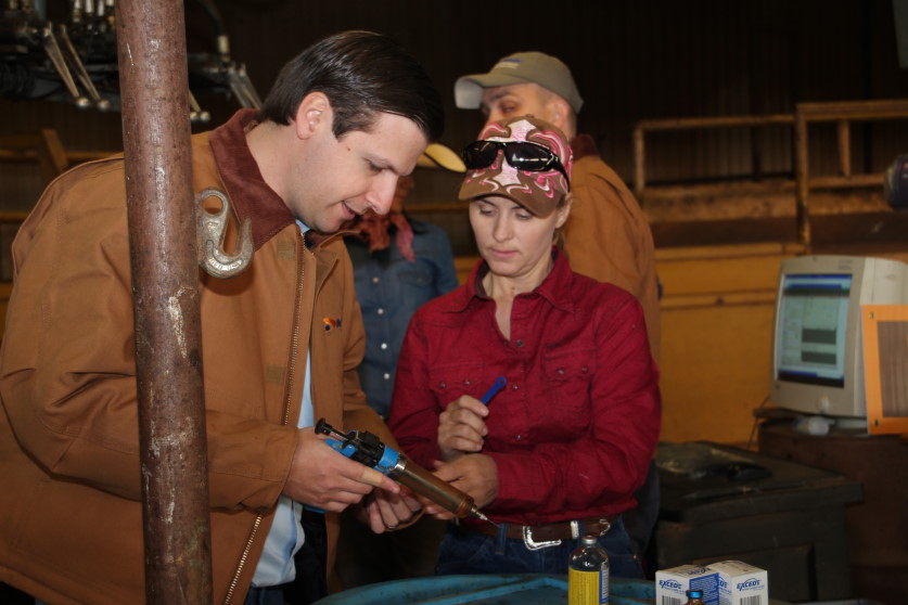 Draxxin Goes to Work on the Triple Heart Ranch in Oklahoma