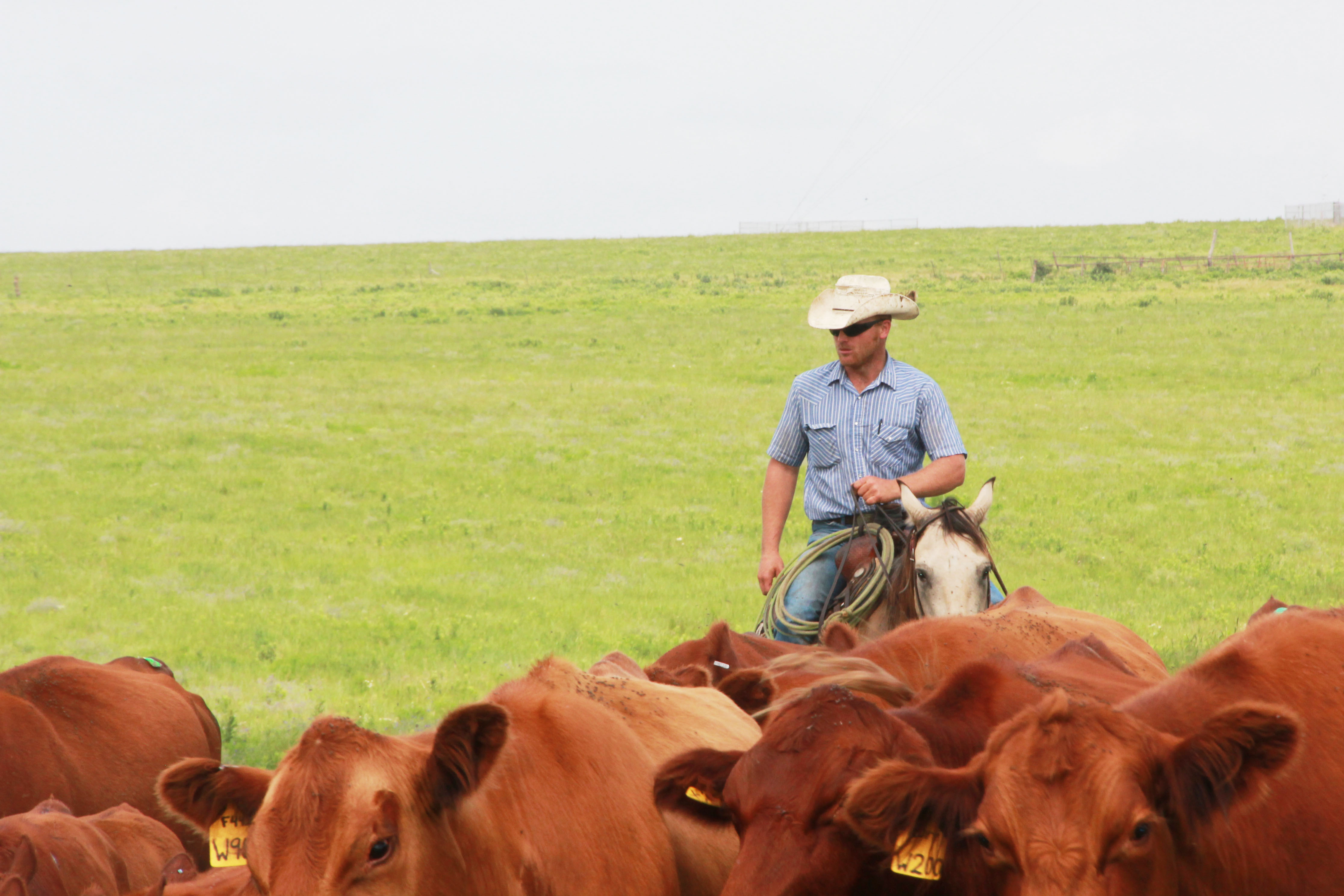King Ranch Institute's Clay Mathis Talks Technology on the Ranch and How to Make Money Using It