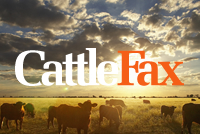 2017 a Great Year for Producers - Here's CattleFax CEO Randy Blach's Advice for Keeping It Going