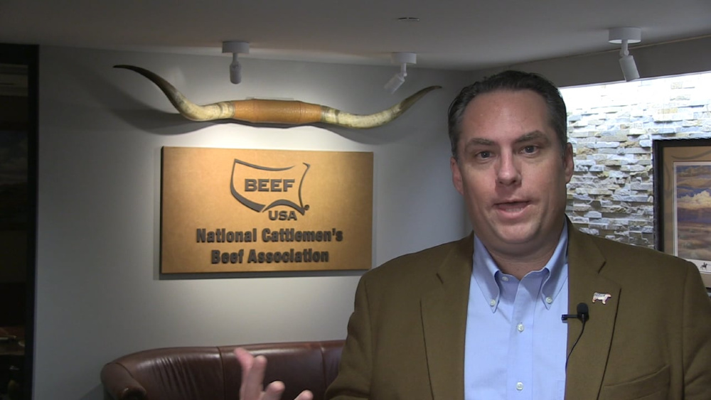 NCBA's Ethan Lane Explains The Importance of Stimulus Package For Cattle Producers