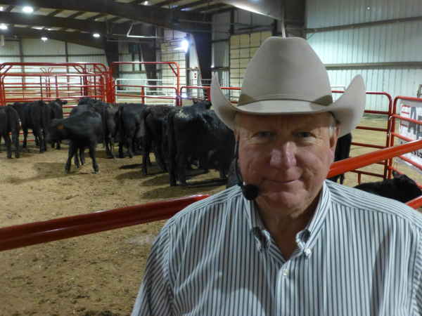 Weaning Calves Correctly Is Good For Animals And The Pocketbook, Says Texas Extension AgriLife Specialist Dr. Ron Gill