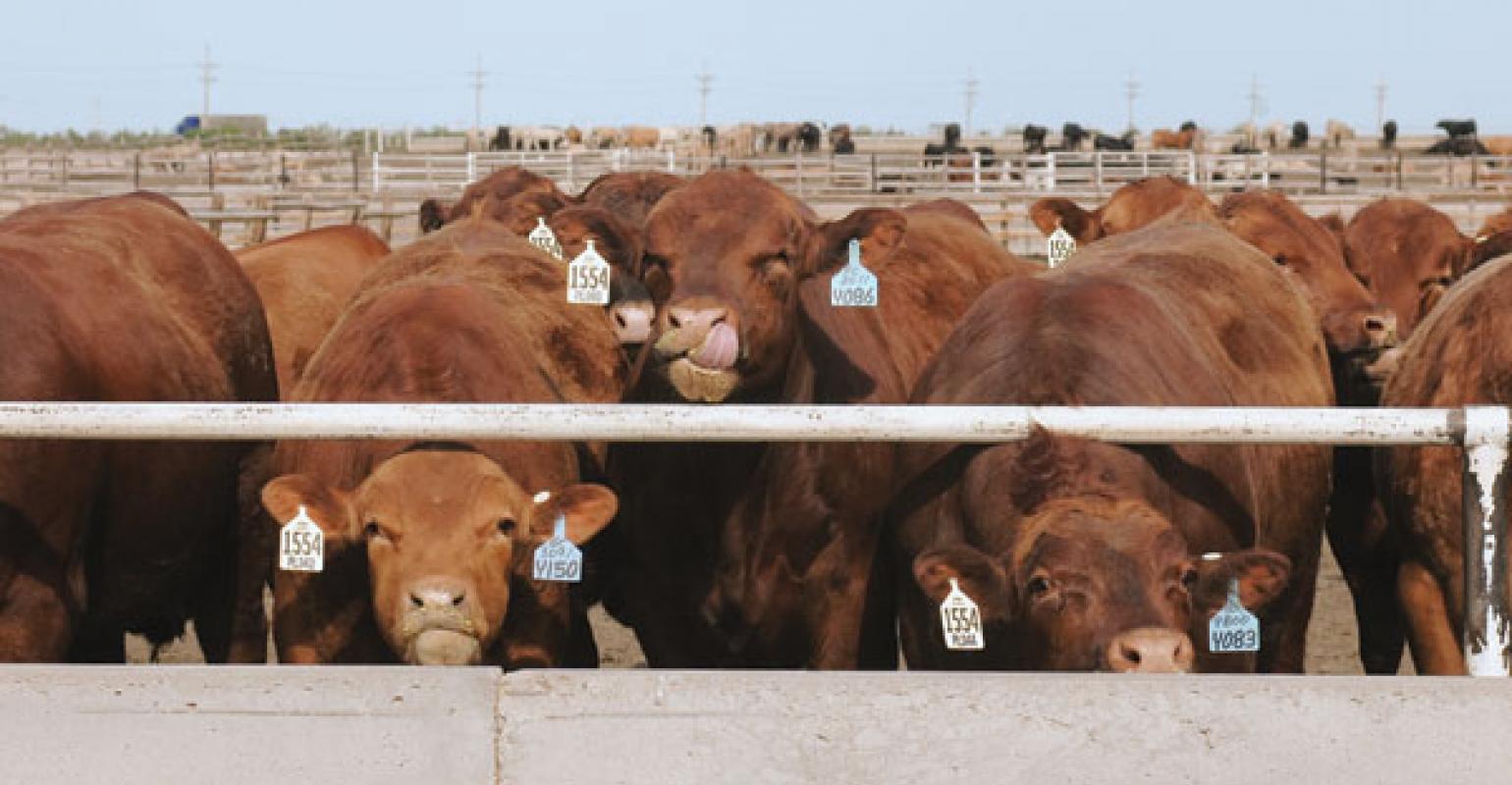 OSU's Derrell Peel Believes Latest Cattle on Feed Report Shows We Are Continuing to Work Through a Large Number of Cattle
