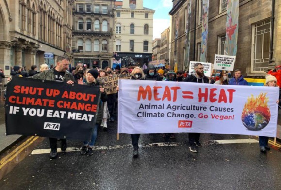 Animal Activist Groups Blame Animal Agriculture for Climate Change and Pandemics