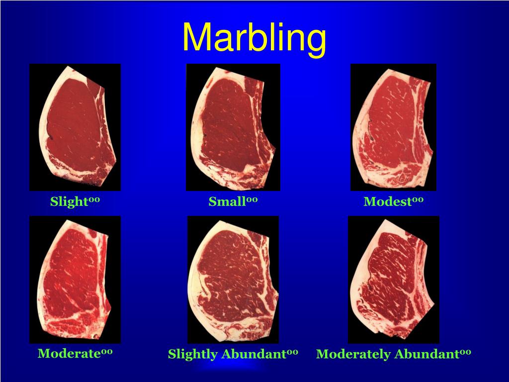 Marbling the Key Trait to Meet to Qualify Your Cattle for Certified Angus Beef