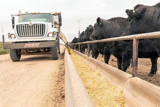 November Cattle on Feed Report Confirms October Pattern of Lower Placements and Tighter Cattle Numbers in Feedlots