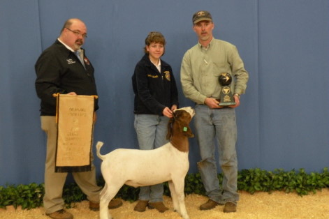 Mercedes Hardin of Hennessey FFA Claims Top Prize in Wether Goat Show at OYE