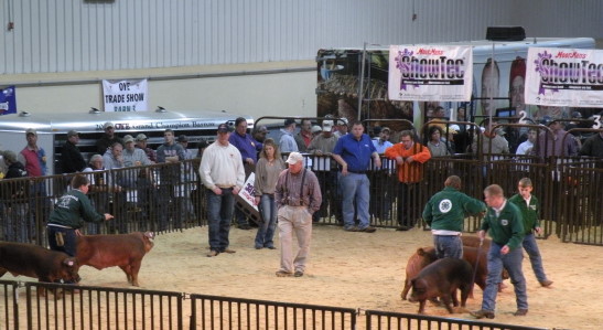 Market Hog Show Now Underway at 2009 OYE- Here are First Three Breed Winners