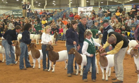 From the OYE- the 2009 Kid Doe Show is Underway