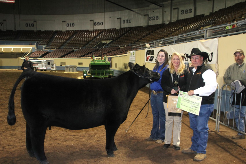 Bailey Buck of Madill Shows First Ever Supreme Champion Influence Beef Heifer