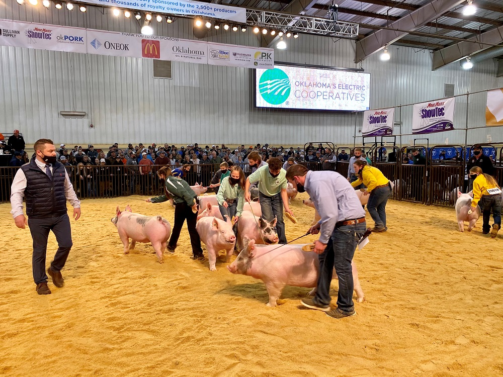 Breeding Gilt Show Underway at OYE with 2021 Night of Stars Gilt Sale Set for Sunday at 2 PM