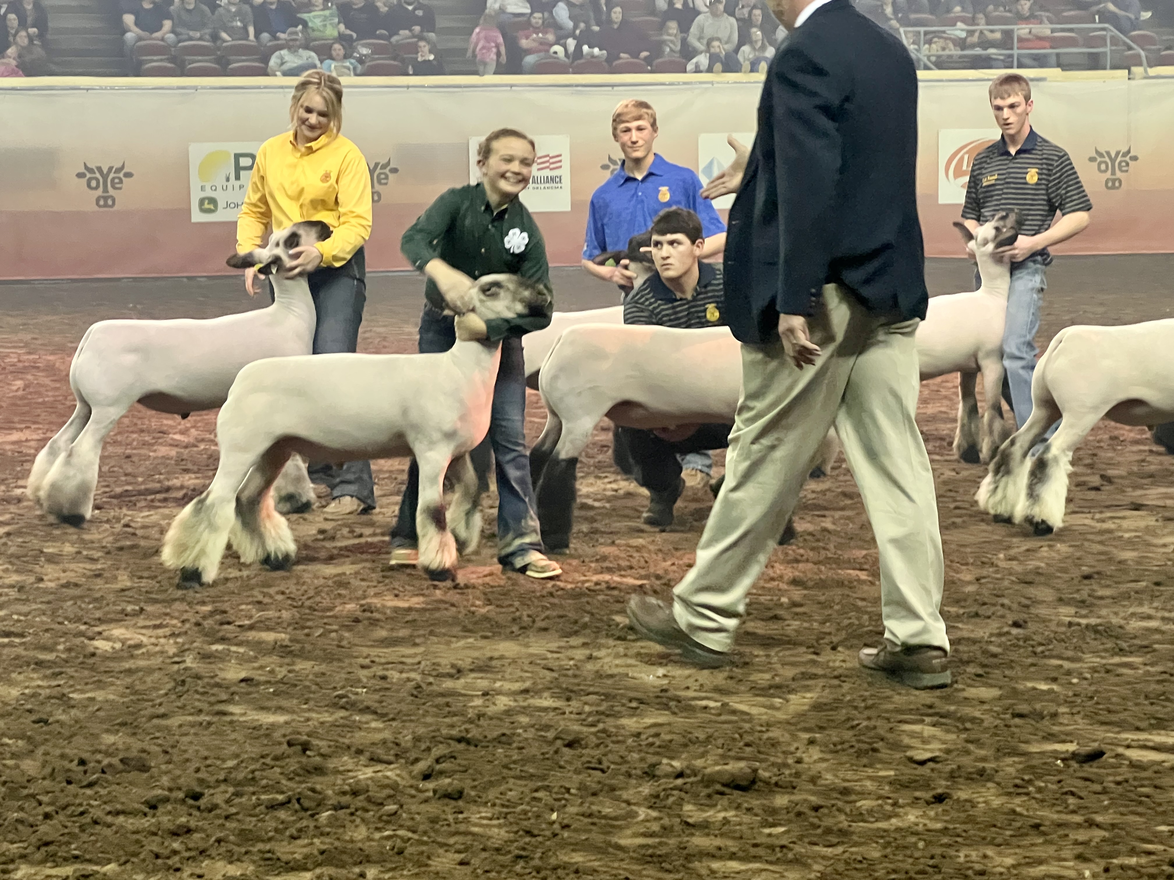 Sayde Allen of Canute 4-H Earns Grand Champion Market Lamb Honors with Her Crossbred Lamb