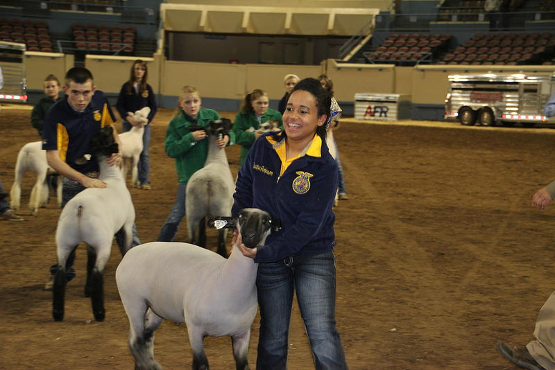 It was a Night of Destinee at the 2013 OYE as Destinee Johnson of Tipton FFA Shows Both the Grand Lamb and the Grand Goat