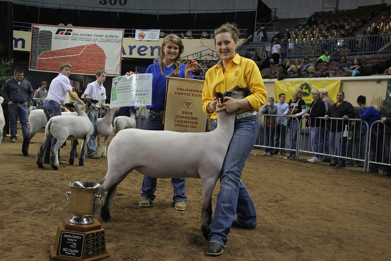 Emily Smith of Elk City,  Taylor Wiss and Karissa Pfeiffer of Mulhall Orlando Win With Ewes and Does