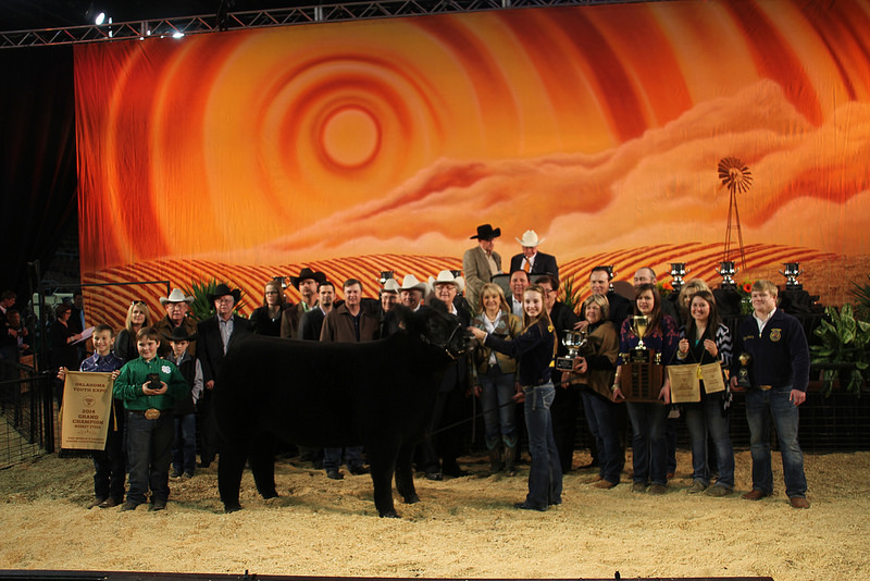 Grand Champion Market Steer at 2014 OYE Commands Record $73,000