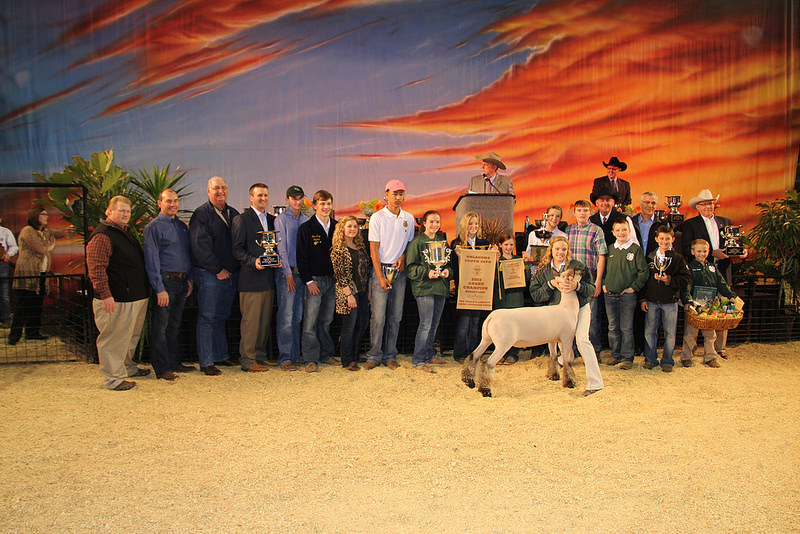 Oklahoma Youth Expo Celebrates 100th Birthday by Selling the Grand Champion Lamb for $25,000