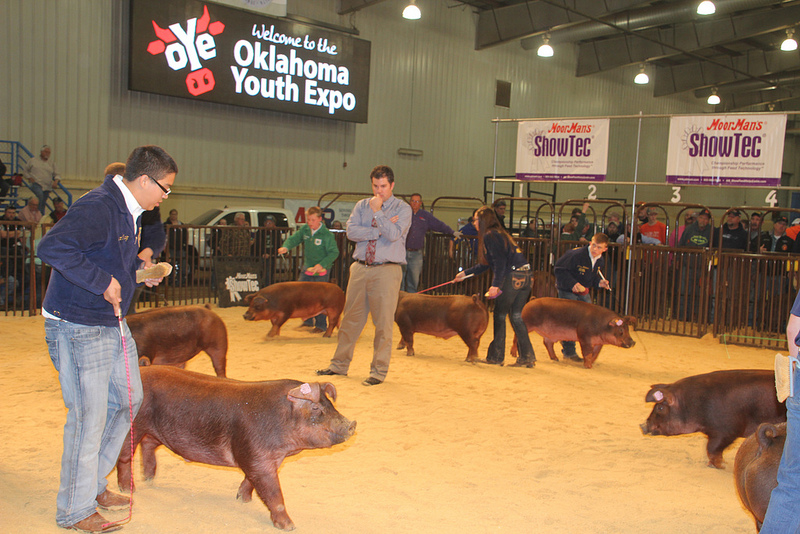 Oklahoma Youth Expo Kicks Off with a Full Schedule and a Record Number of Exhibitors Yet Again