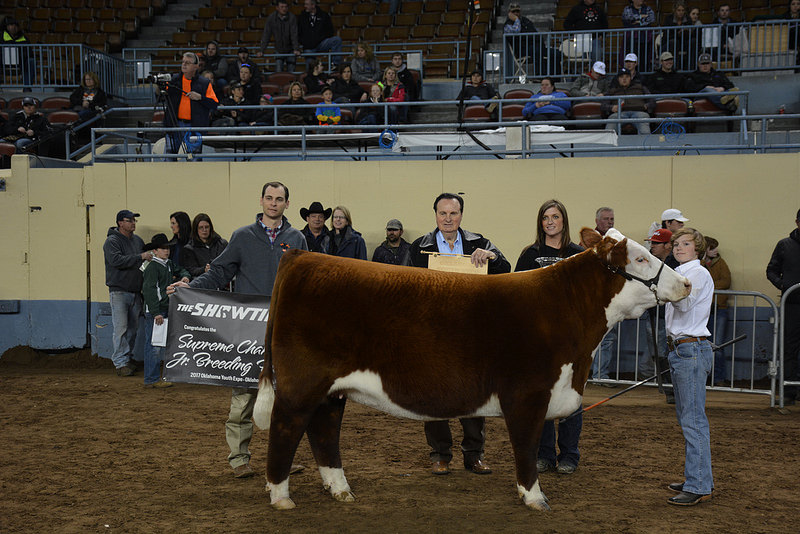Evan Sims of Oklahoma County 4-H Wins Supreme Champion Purebred Beef Heifer With His Polled Hereford Champ