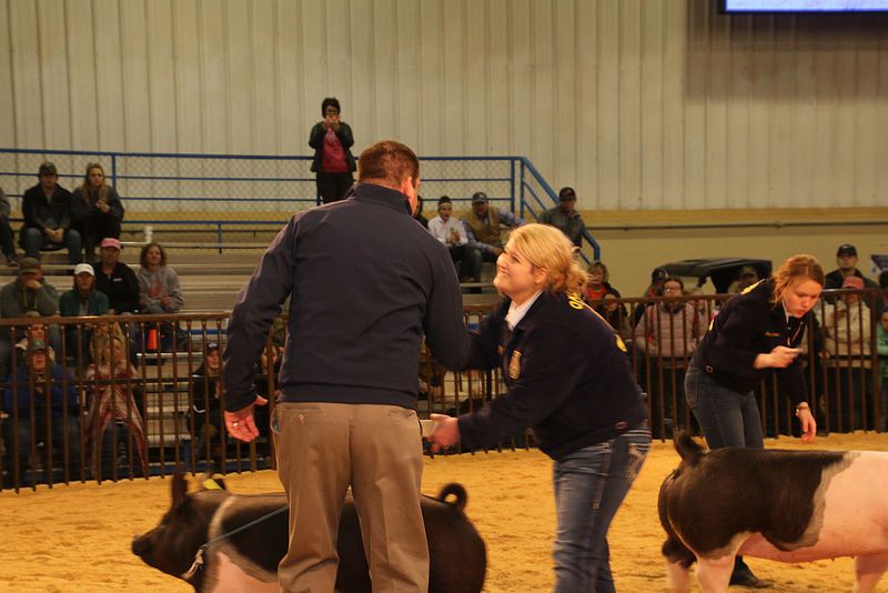 Monday at the OYE- Shyann McWhirter of Maysville FFA Wins Grand Championship Swine Showmanship- and Lots More