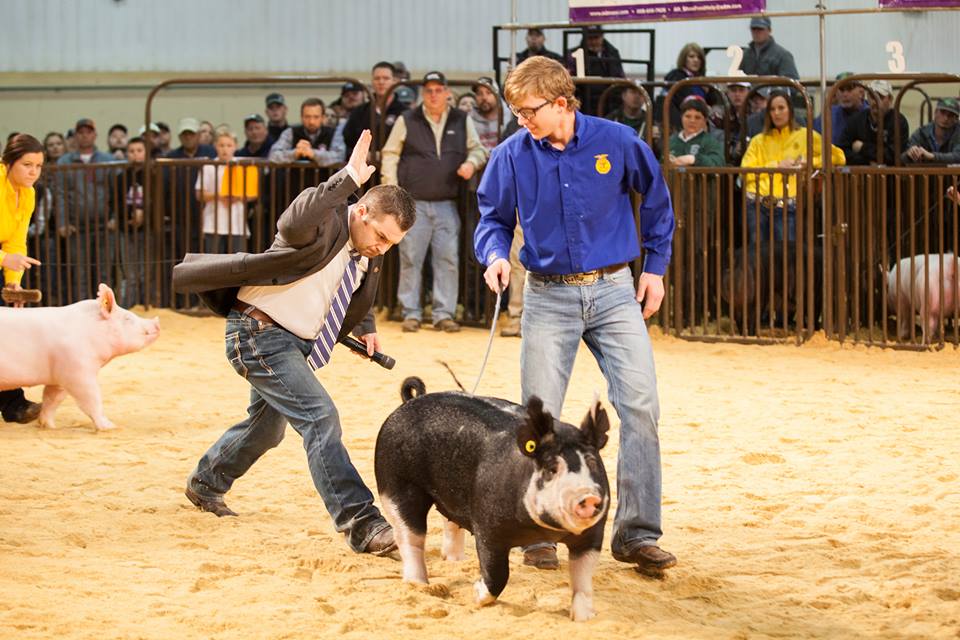 Supreme Purebred Champ Brings $32,500 for Ty Goss of Leedey FFA at the 2017 OYE Night of Stars Gilt Sale