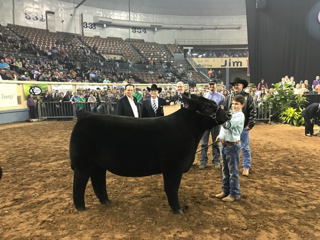 Tommy Glover of Elgin 4-H Shows Grand Champion Steer at 2017 OYE