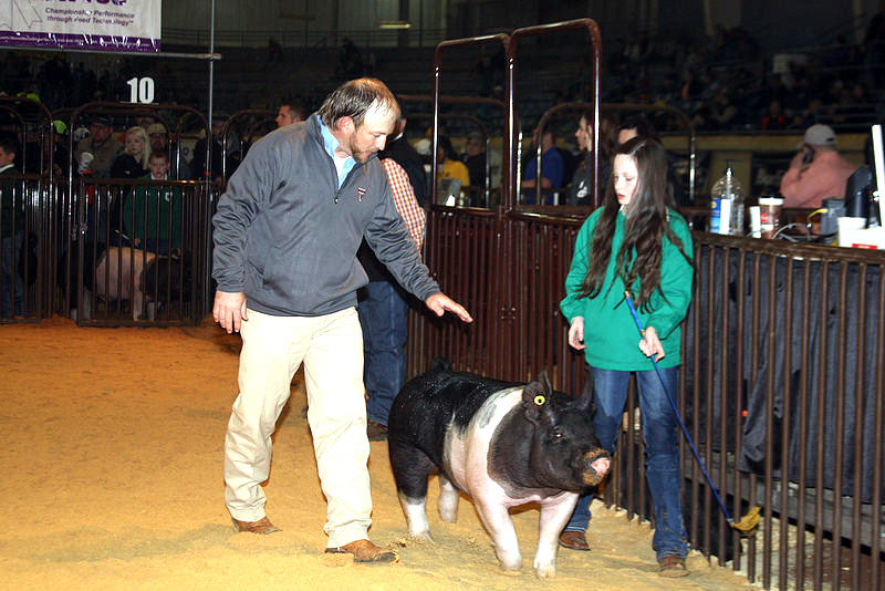 Market Hog Judge Will Winter Reflects on His Experience During the Oklahoma Youth Expo this Year
