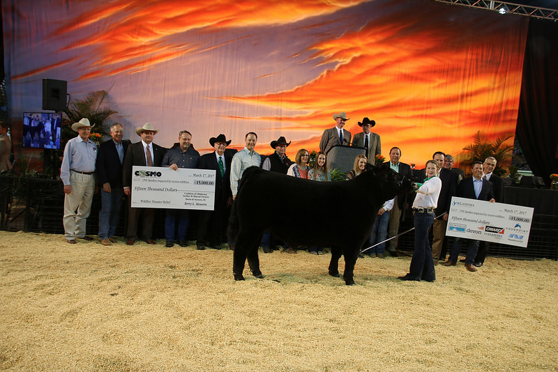 Sixty Thousand Dollars Raised With Sale of Donated Steer for Youth Impacted by Northwest Oklahoma Wildfires 