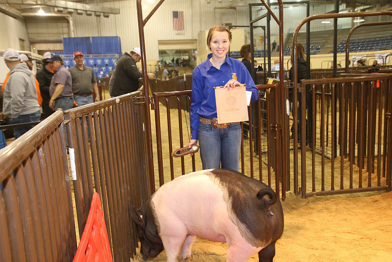 Marlie Farris from Sentinel FFA Captures Swine Showmanship Title at 2018 Oklahoma Youth Expo