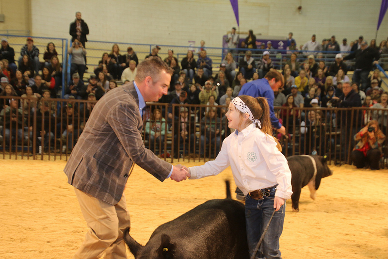 Berkley McKay of Mulhall-Orlando 4-H Shows the Supreme Champion Commercial Gilt at the 2019 OYE