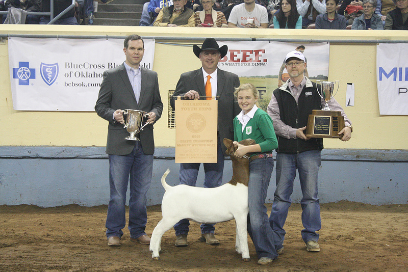  Addyson Schneberger of Carnegie 4-H Sells Grand Champion Goat for $15,000