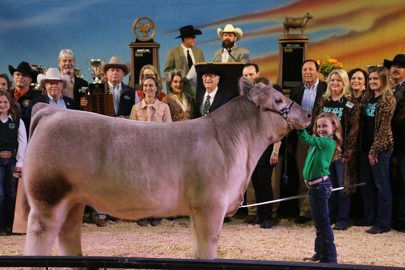 Cierra Collins of Tillman County 4-H- Sells Oklahoma Youth Expo Grand Champion Steer for $85,000