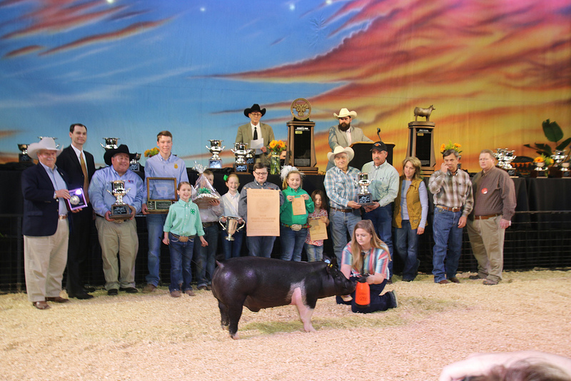 Madilyn Norvell of Amber Pocasset 4-H Sells Oklahoma Youth Expo Grand Champion Barrow for $25,000