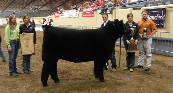 Ky Stierwalt of Leedey FFA Captures Top Prize at the OYE- the Grand Champion Market Steer
