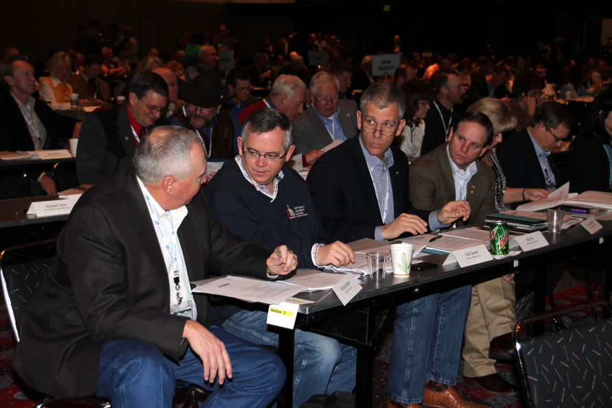 Federation of State Beef Councils Takes Step of Independence from NCBA Policy Division