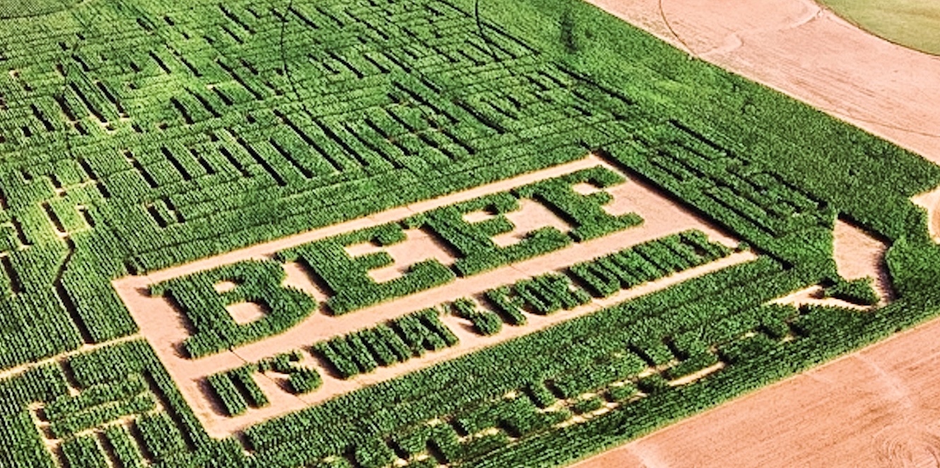 Checking in on the Beef Checkoff- Oklahoma Beef Council Sponsors the P Bar Farms Fall Corn Maze