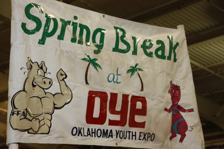 Every Picture Tells a Story at the 2010 OYE