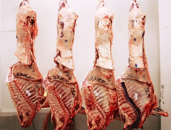 Beef and Pork Muscle Cuts Lead February Export Advances
