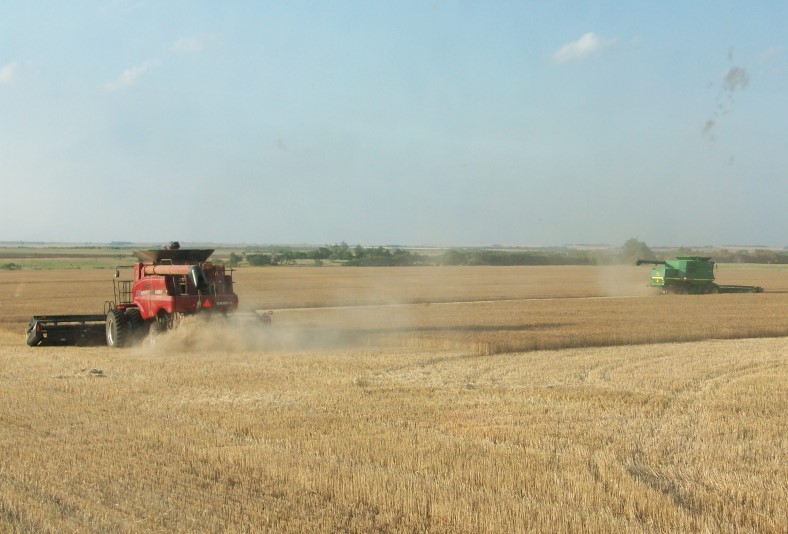 Lessons To Be Learned From the 2010 Wheat Harvest