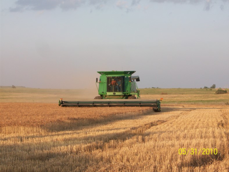 Wheat Harvest in Pictures- The Hoover family of Hobart Harvests Overly Wheat