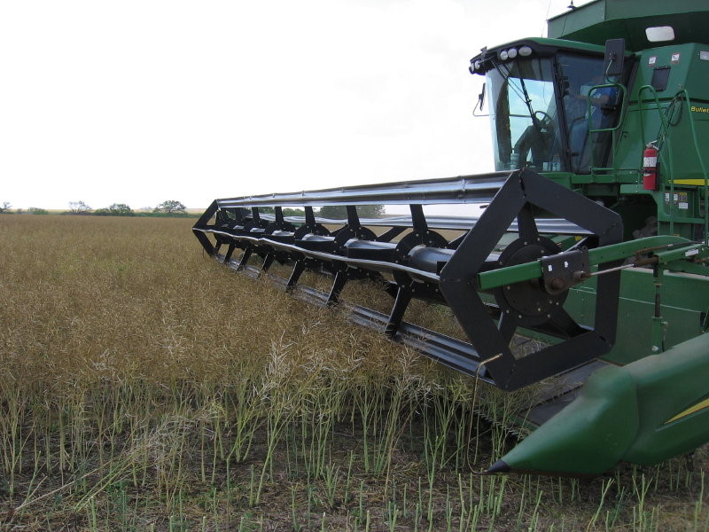 Straight Cut Harvest Method Being Used for Winter Canola in Cotton County- Check Out These Pictures