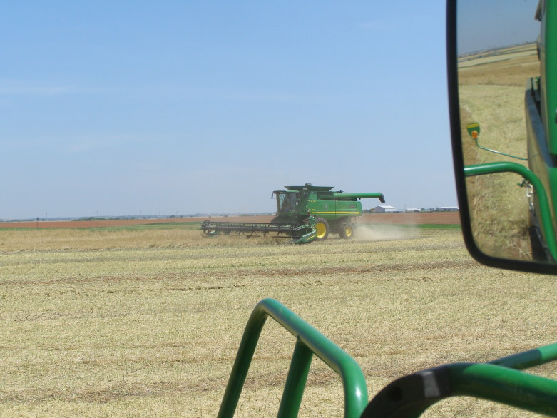 Pushed Canola Harvest in Pictures- Part Three