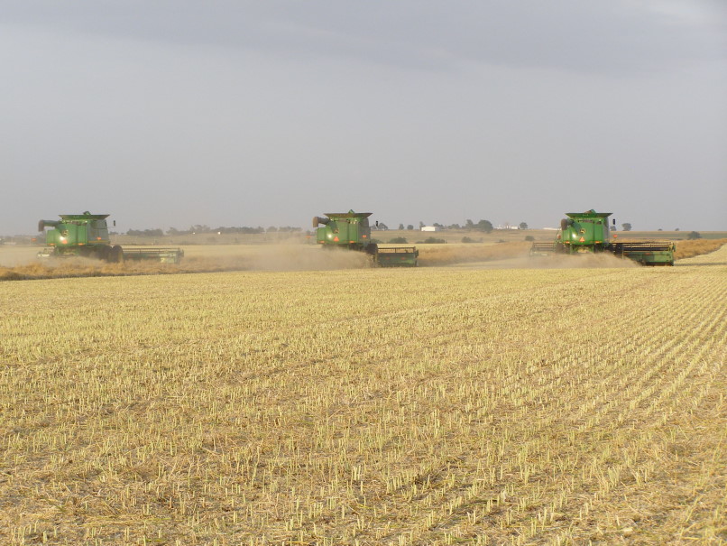 Canadian County Canola Averages Over 35 Bushels Per Acre- Take a Look at These Harvest Photos!