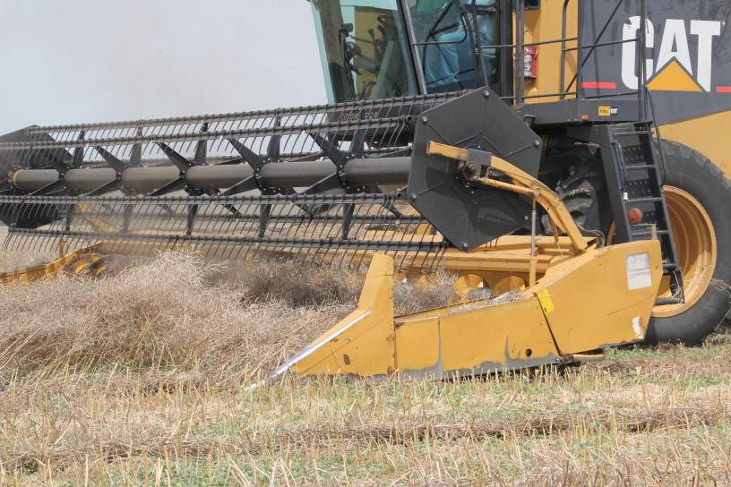 Canola Harvest Ends for 2010- We Show You Pictures- Part One