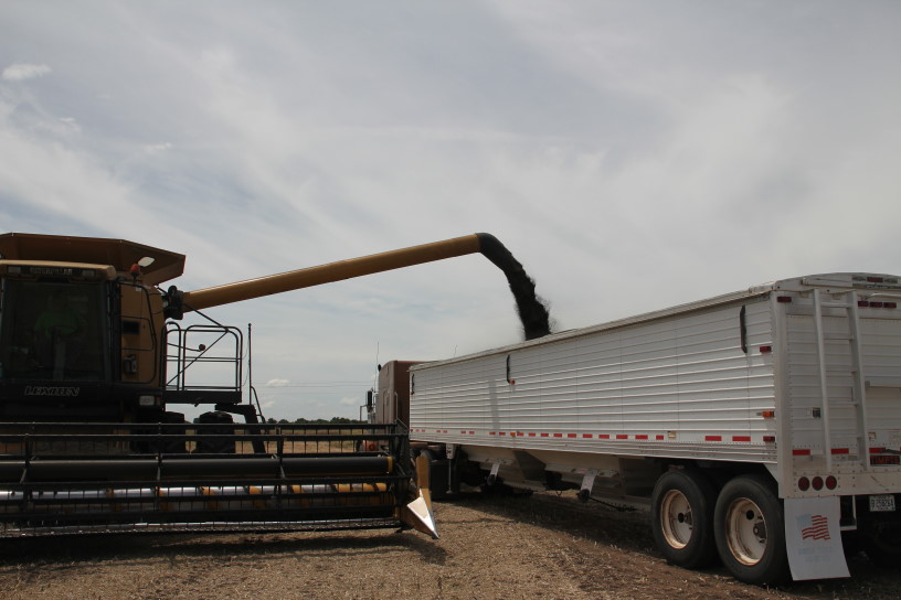 Canola Harvest Ends for 2010- We Show You Pictures- Part Two
